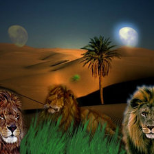 Схема вышивки «№97501»