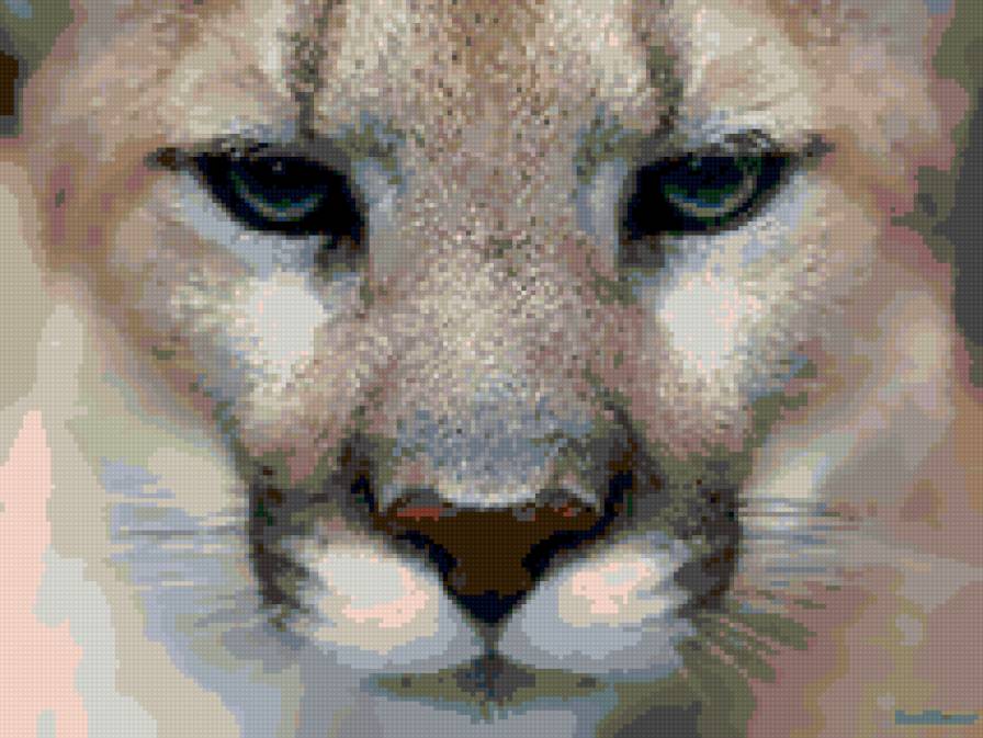 пума - кошечка - предпросмотр