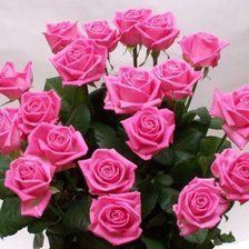 Схема вышивки «Розы»