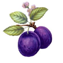 Схема вышивки «Для кухни»