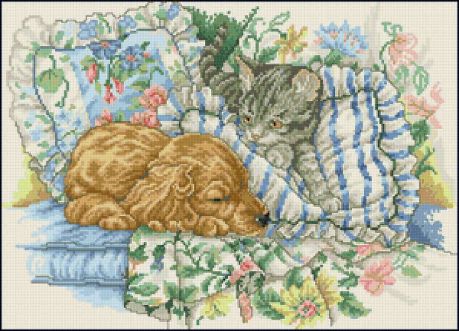 котенок и щенок - животные, кошка, собака - предпросмотр