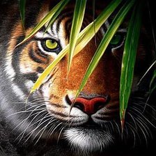 Схема вышивки «Тигр»