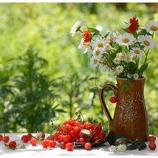 Схема вышивки «Ромашки и ягоды»