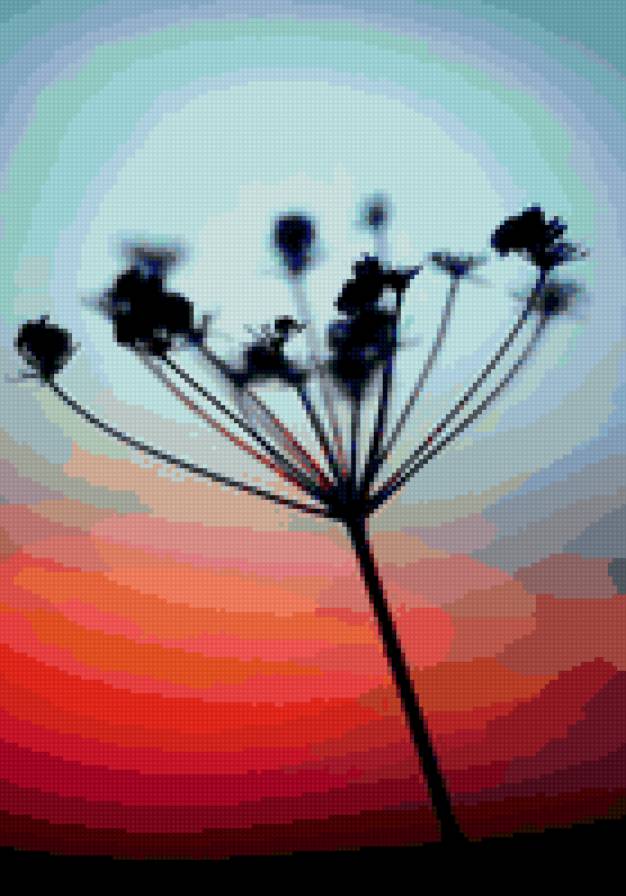 Растение на закате - растение, закат - предпросмотр