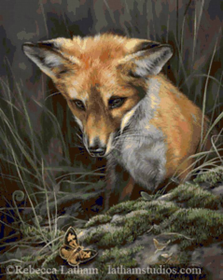 Лисёнок и бабочка - бабочка, животные, бабочки, природа, лисенок, лиса - предпросмотр