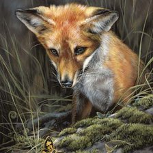 Схема вышивки «Лисёнок и бабочка»