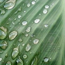 Схема вышивки «капли росы»