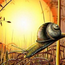 Схема вышивки «улитка на закате»