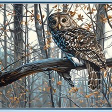 Схема вышивки «совушка»