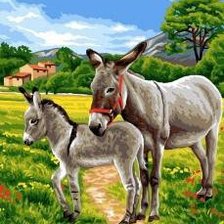 Схема вышивки «Ослики»