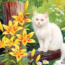 Схема вышивки «Котик»