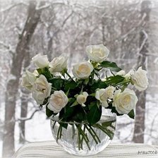 Схема вышивки «роза на окне»