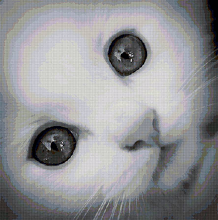 №98140 - картина, подушка, животные, кошки - предпросмотр