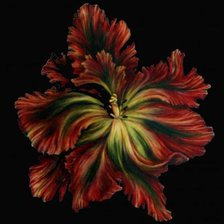 Схема вышивки «№98157»