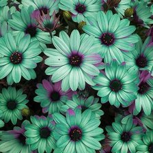 Схема вышивки «№98176»