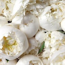 Схема вышивки «№98187»