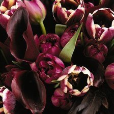 Схема вышивки «№98188»