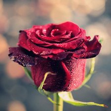 Схема вышивки «№98220»