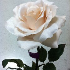 Схема вышивки «№98222»