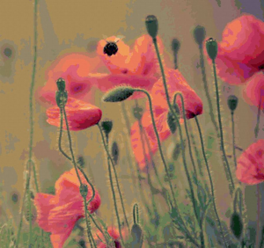 №98223 - картина, подушка, маки, цветы - предпросмотр