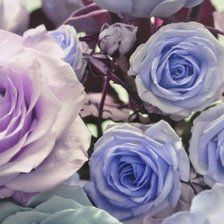 Схема вышивки «№98230»