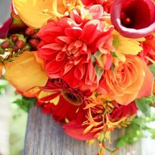 Схема вышивки «№98246»