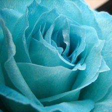 Схема вышивки «№98248»