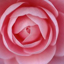 Схема вышивки «№98251»