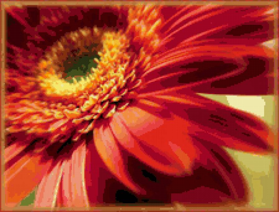 гербера - предпросмотр