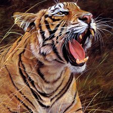 Схема вышивки «животные»