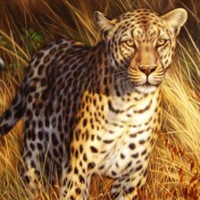 Схема вышивки «животные»