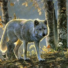 Схема вышивки «животные»