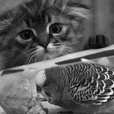 Схема вышивки «Завтрак завтракает»