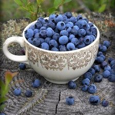 Схема вышивки «Черника»