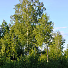 Схема вышивки «лето»