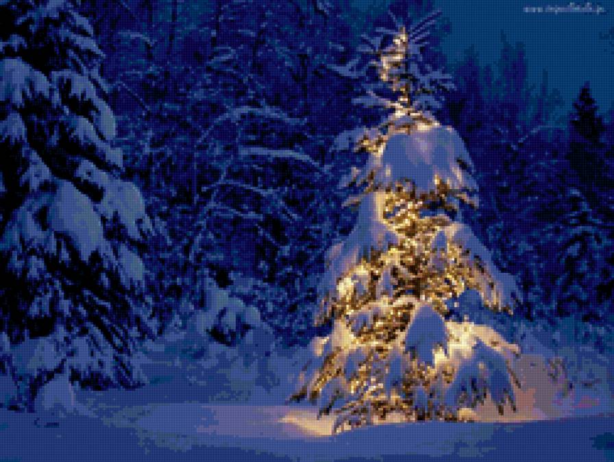 с новым годом ! - елка, новый год, пейзаж, зима, лес, снег - предпросмотр