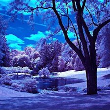 Схема вышивки «Ночь. Зима.»