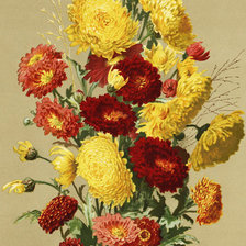 букет цветов