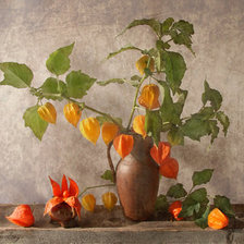 Схема вышивки «физалис»