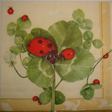 Схема вышивки «божьи коровки»