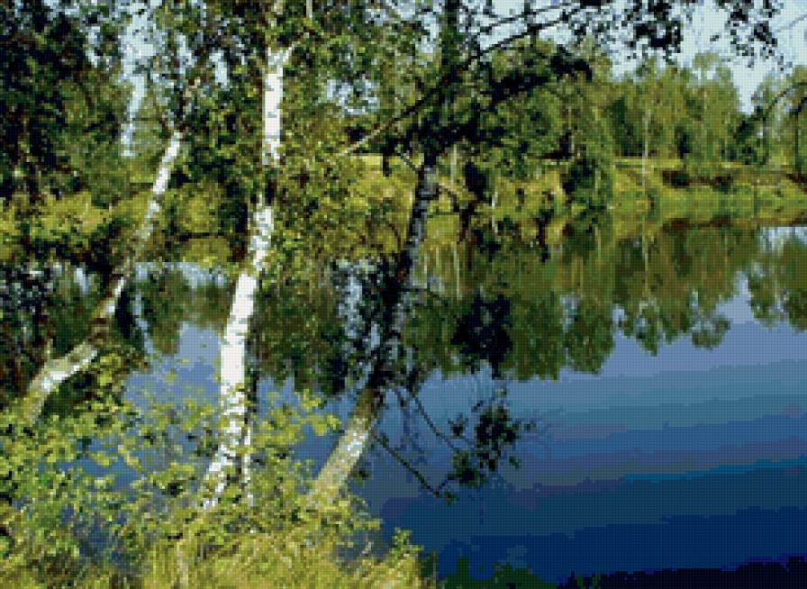 Березы у реки - природа, пейзаж, лес, лето, река - предпросмотр