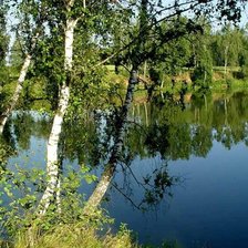 Схема вышивки «Березы у реки»