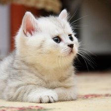 Схема вышивки «№ 6»