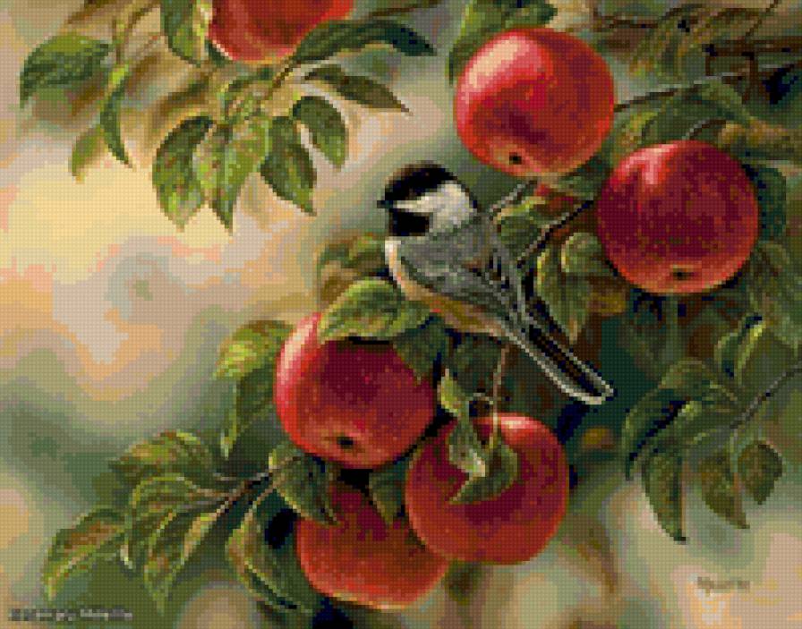 № 7 - яблоки, дерево, ветка, птица - предпросмотр