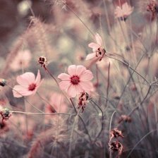 Схема вышивки «№ 9»