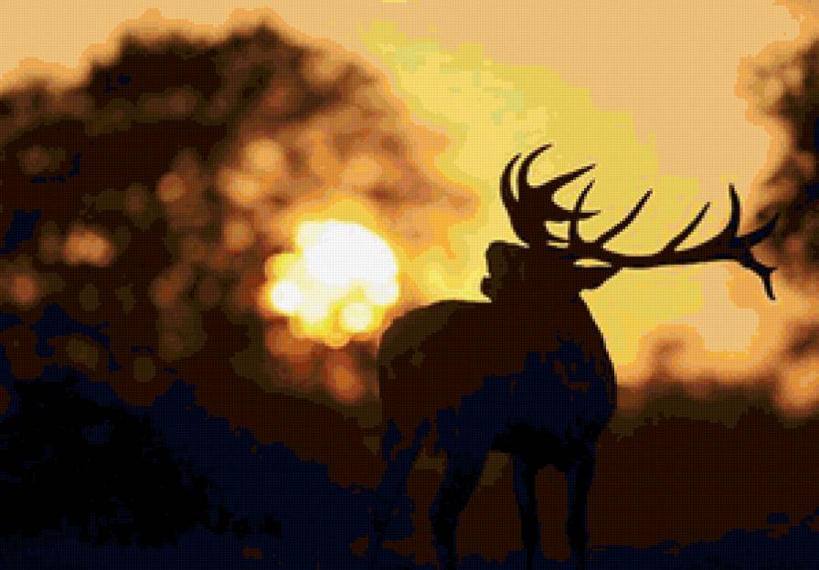 Олень на закате - пейзаж - предпросмотр