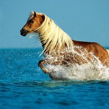 Схема вышивки «Красавица»