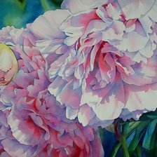 Схема вышивки «пионы»