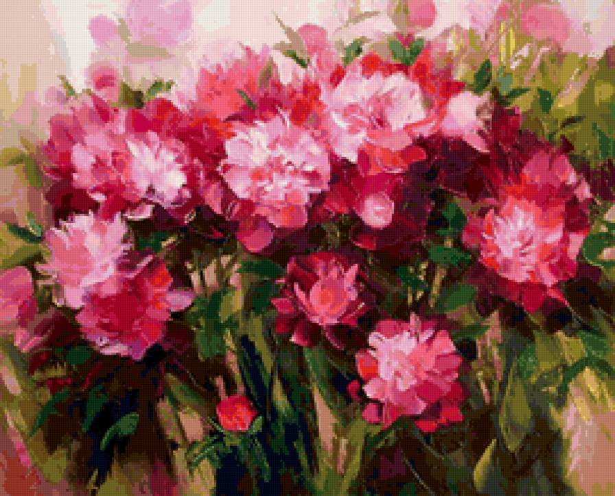 розовое поле - поле, розовые цветы, цветы - предпросмотр