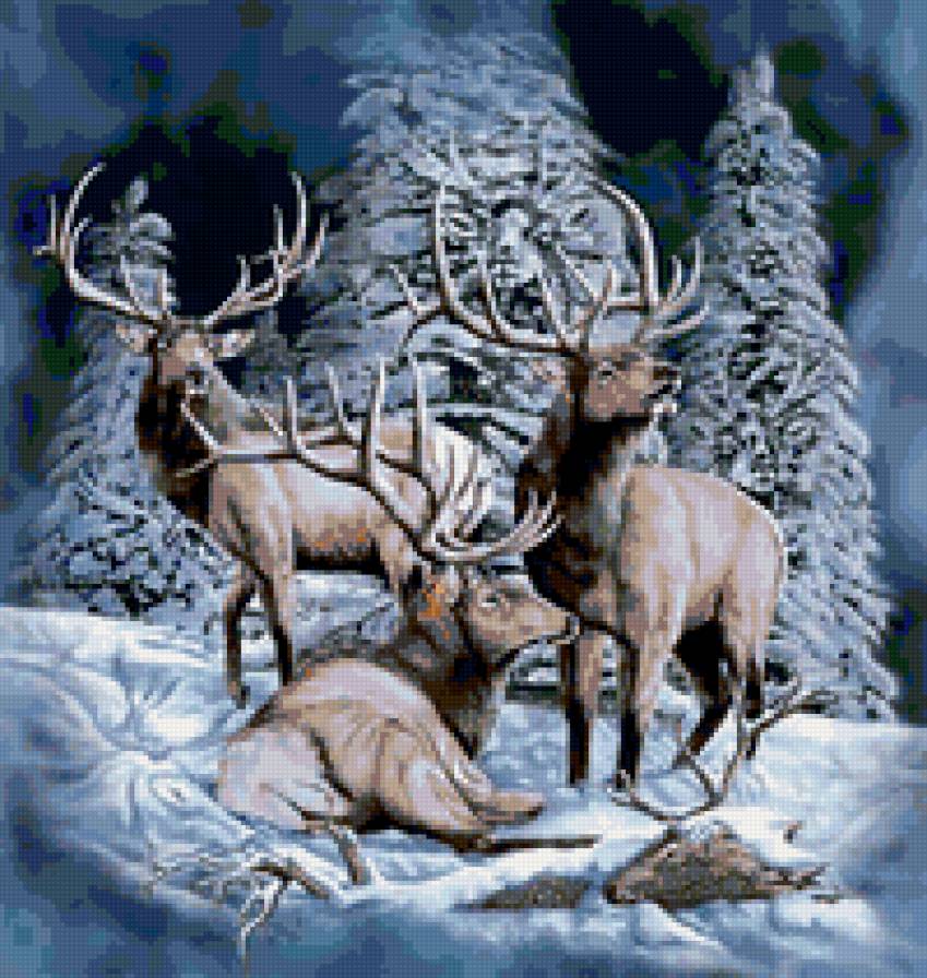 Олени - олень, лес, снег - предпросмотр